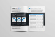 Annual Report Brochure, a Brochure Template by New Lines (Thumbnail 9 of 12)