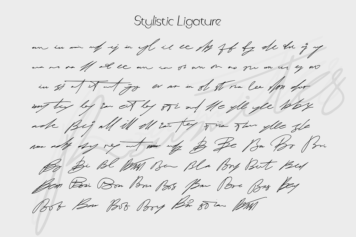 Roumites | Signature Script, a Handwritten Font by Mozyen Studio (Photo 3 of 11)