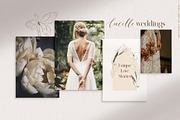 Olive garden watercolors clipart, an Object Graphic by Angele Kamp (Thumbnail 3 of 9)