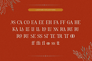 Fliren - Stylish Serif Font, a Serif Font by Sronstudio (Thumbnail 16 of 16)
