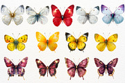 Floral Butterfly Clipart Summer PNG, an Animal Illustration by SugarCloudStudioArt (Thumbnail 7 of 8)