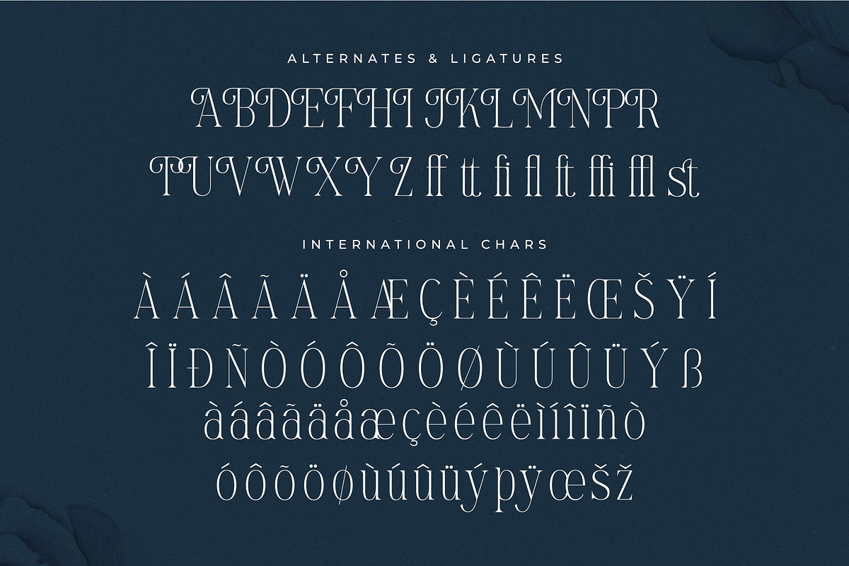 Mostlight Modern Alternate Serif, a Serif Font by Letterena Studios (Photo 14 of 15)
