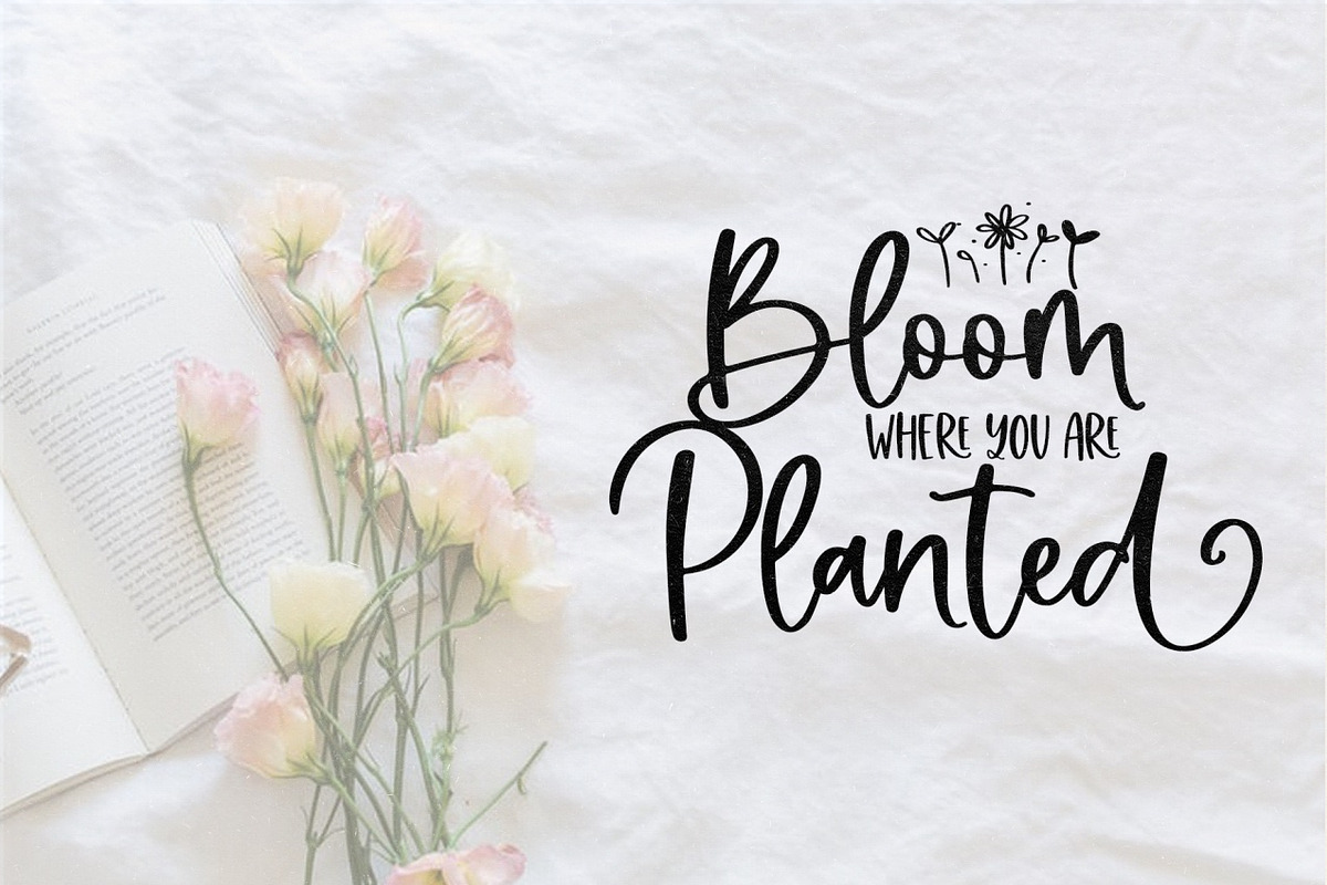 Farmland Acres | Script Font Duo, a Script Font by KA Designs (Photo 26 of 31)