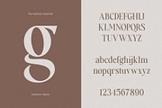 Aesthetic Essential | Modern Serif, a Serif Font by Megi Satyo Widodo (Thumbnail 20 of 22)
