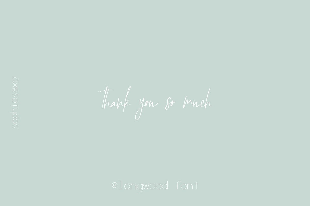 Longwood Font, a Script Font by SophieSaxo (Photo 19 of 20)