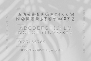 Wild Dreams Adventure Display Font