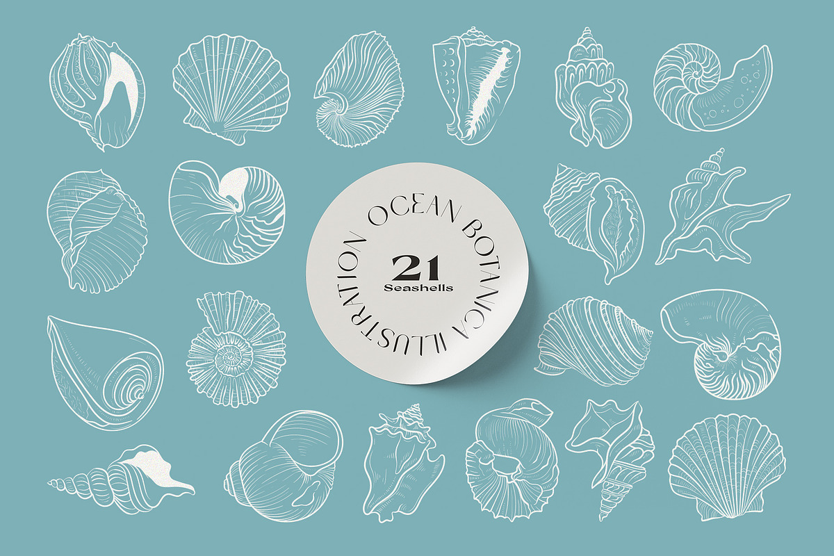 Ocean Botanica, an Animal Illustration by KetteCreate (Photo 3 of 13)