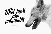 Hidden Soul, a Script Font by kavoon (Thumbnail 9 of 11)