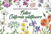 Native California wildflowers, an Illustration by FITALARTSNEDIGI (Thumbnail 1 of 8)