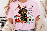 Funny Christmas Dachshund PNG, a Seasonal Illustration by Rose Art (Thumbnail 3 of 4)