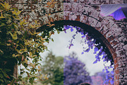 454 Infrared Fantasy Pro LUTs, a Preset Add-On by ShutterPro (Thumbnail 33 of 48)