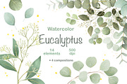 Watercolor Eucalyptus Clipart, an Object Graphic by ArtGiftsStudio (Thumbnail 1 of 6)