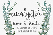 Eucalyptus Greenery Clipart Graphics, an Illustration by Wooly Pronto (Thumbnail 1 of 3)