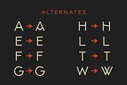 PORTLAND — Handcrafted Vintage Font, a Sans Serif Font by Millieangelo (Thumbnail 3 of 5)