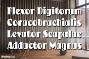Miroslava Font, a Serif Font by Mysterylab Designs (Thumbnail 5 of 9)
