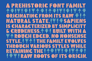 Sapiens Font Family, a Sans Serif Font by Hemphill Co (Thumbnail 2 of 13)