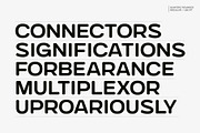 Gunterz Rounded, a Sans Serif Font by Locomotype (Thumbnail 3 of 13)