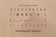 Queenia Elegant Modern Serif, a Serif Font by Vadovastd (Thumbnail 3 of 11)