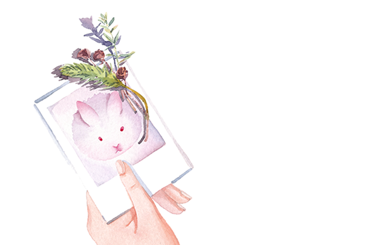 Easter bunny watercolor clipart set, an Animal Illustration by masha gross (Photo 3 of 4)
