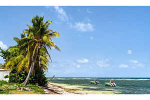 Tropical beach with palm trees and, a Nature Photo by Leonid Andronov
