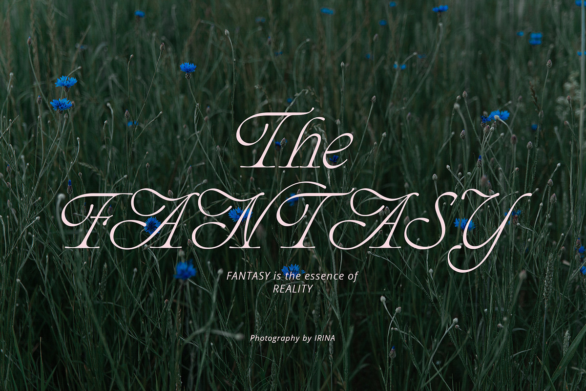 ED Phoebe, a Serif Font by Emyself Design (Photo 6 of 12)