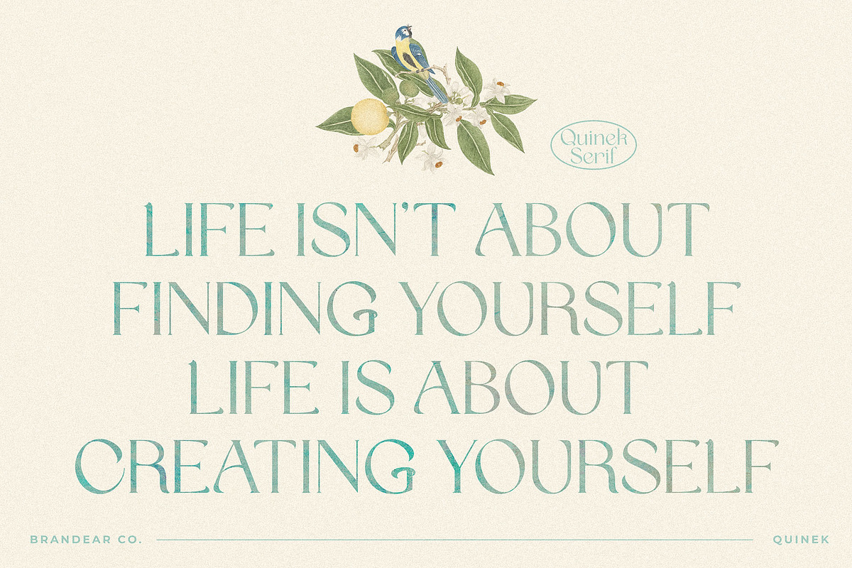 Quinek Elegant Serif, a Serif Font by Brandear Design (Photo 8 of 16)