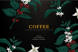 Coffee Illustration