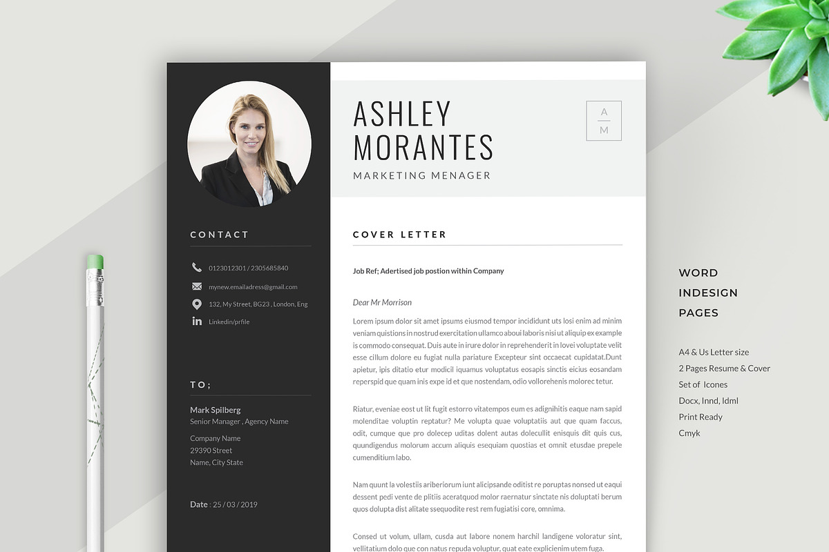 Resume Template Ashley, a Resume Template by Estartshop (Photo 4 of 7)