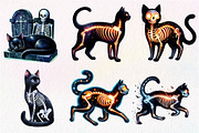 Skeleton Black Cat Clipart PNG, an Illustration by Dream Creation (Thumbnail 5 of 6)