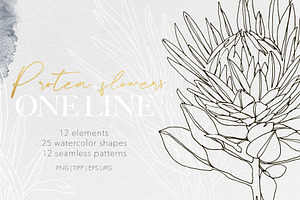 One Line Modern Sketch Protea Flower