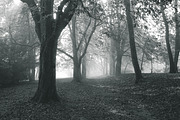 10 Matte B & W Landscape Drama, a Preset Add-On by Timeless Presets (Thumbnail 15 of 17)