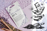 Cosmetics lavender SPA line clipart, an Illustration by NATASHA CHU (Thumbnail 7 of 16)