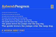 Asherah - Serif font family, a Serif Font by Artistic & Unique (Thumbnail 13 of 13)