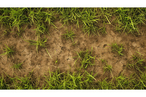 green brown patches grass ai, a Background Photo by pikepicture