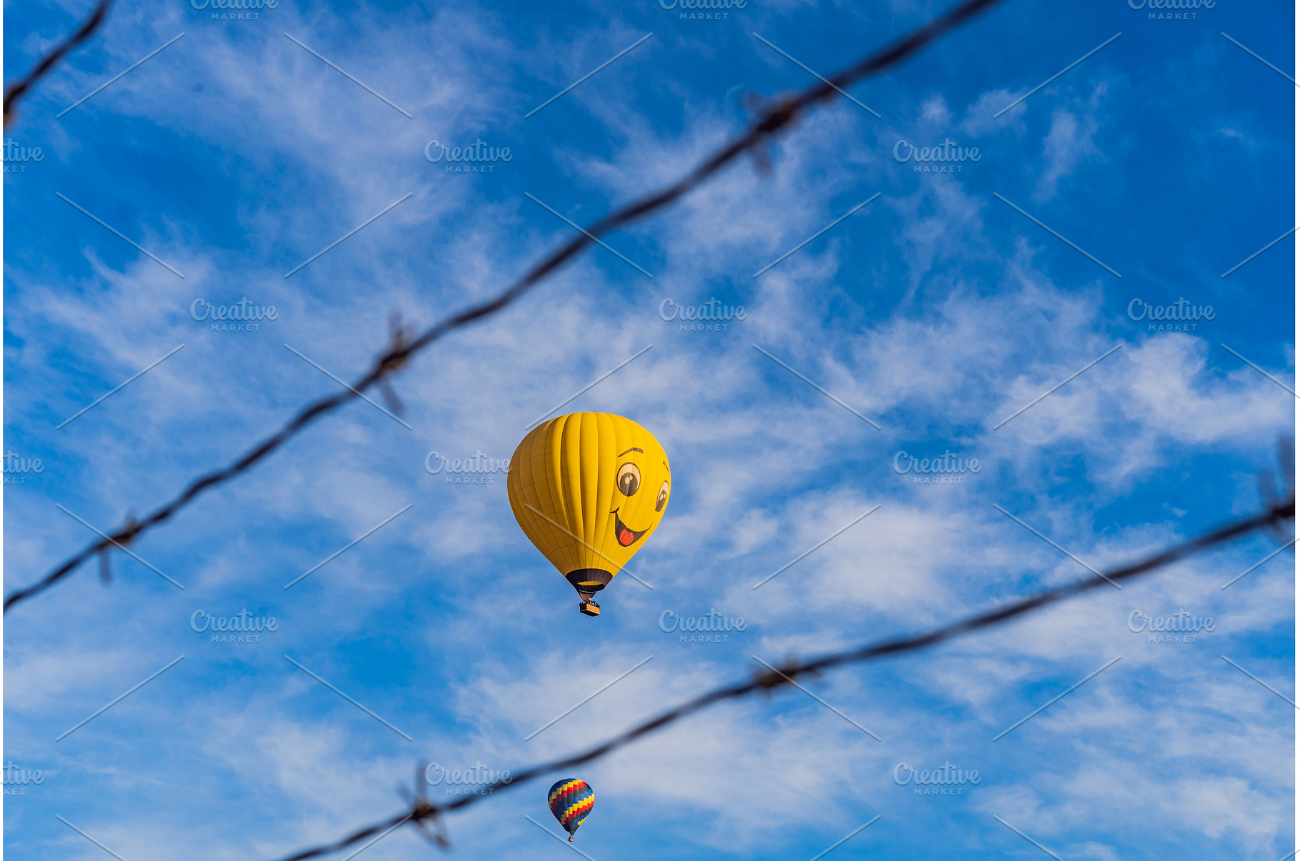 Hot air balloon with a painted smile, a Nature Photo by Elizaveta Galitskaya