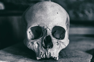 Dramatic Human skull