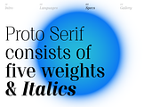 Proto Serif Font Family, a Serif Font by Bukva™ Type Foundry (Thumbnail 5 of 16)