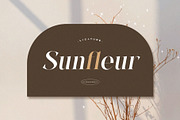 Sunder – Modern Elegant Serif Font, a Serif Font by BrandSemut (Thumbnail 4 of 10)