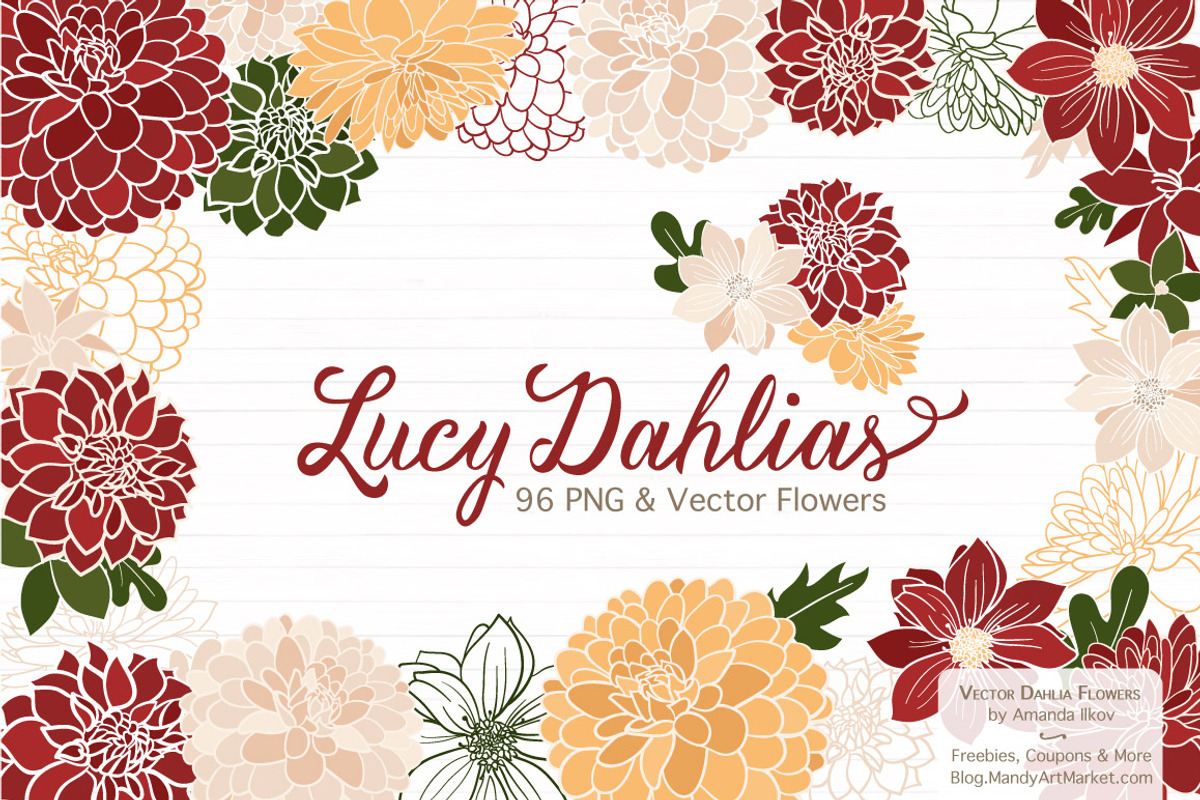 Christmas Floral Clipart, an Illustration by Amanda Ilkov (Photo 1 of 4)