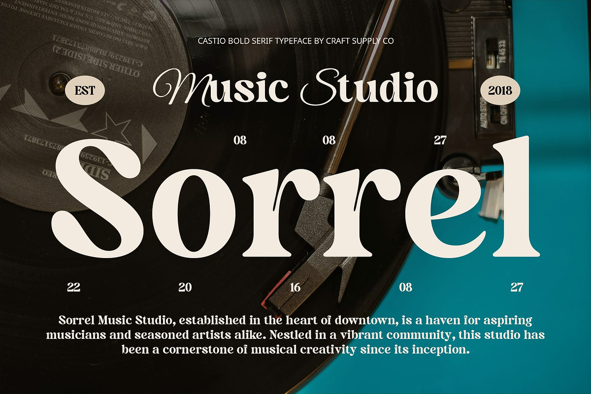 Castio – Bold Font, a Serif Font by Craft Supply Co. (Photo 2 of 8)
