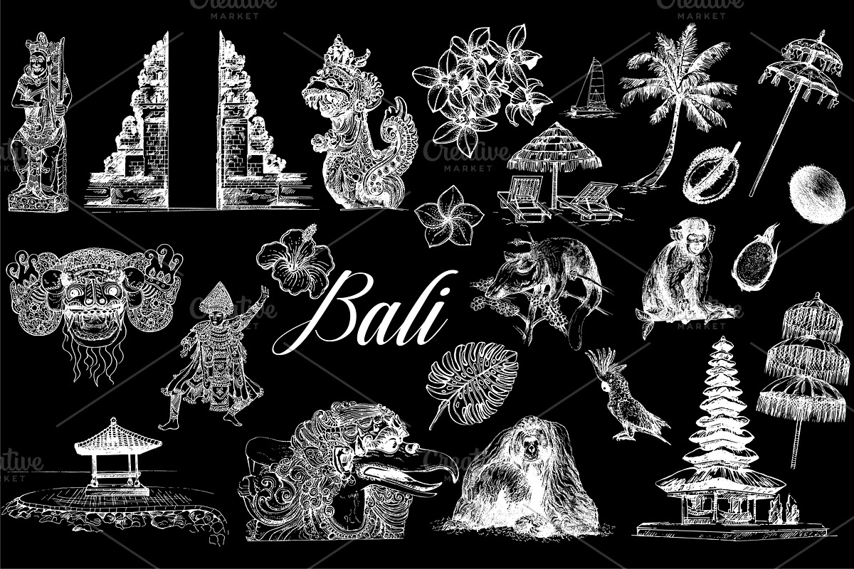 Bali, an Animal Illustration by Ecaterina Sciuchina (Photo 2 of 4)
