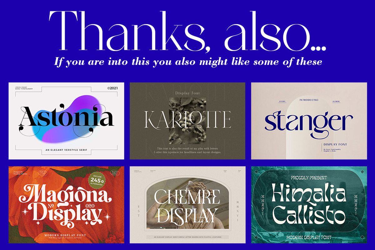 Braston - Elegant Serif Font, a Serif Font by Dora Typefoundry (Photo 20 of 20)