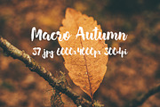 Macro Autumn photo bundle, a Templates & Theme by ApertureVintage (Thumbnail 2 of 21)