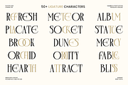 Plavor – Timeless Elegant Serif Font, a Serif Font by roomspace creative lab (Thumbnail 2 of 11)