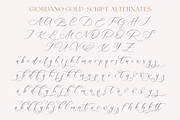 Giordano Gold, a Serif Font by Larin Type Co. (Thumbnail 15 of 15)