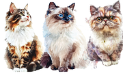 Watercolor Cat Breeds – Volume 1, an Animal Illustration by PrintHaven Designs (Thumbnail 2 of 10)