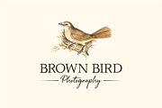 Backzone a Vintage Rustic Serif Font, a Serif Font by Vilogsign (Thumbnail 3 of 11)