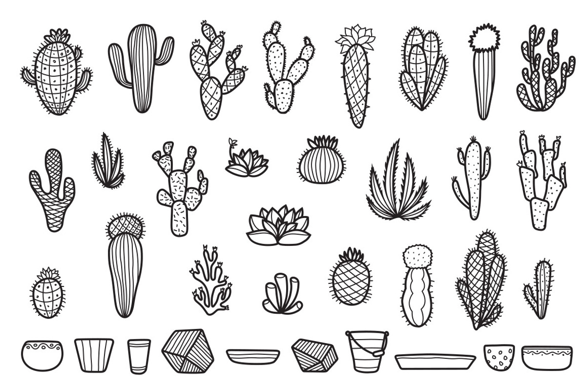 Cactus Collection, a Decorative Illustration by Chelovector (Photo 3 of 4)