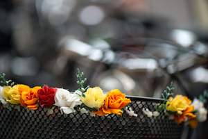 Lost Basket Flowers