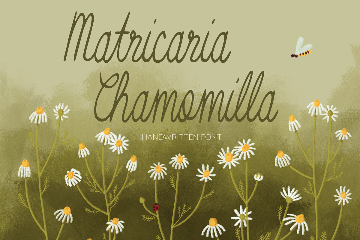 Matricaria Chamomilla Script, a Script Font by Jelena Sardi (Photo 1 of 6)